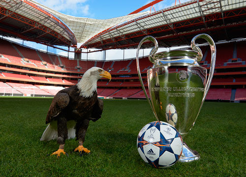 德科告丰特诽谤自己被驳回，调解无果后德科选择继续上诉