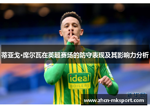 蒂亚戈·席尔瓦在英超赛场的防守表现及其影响力分析