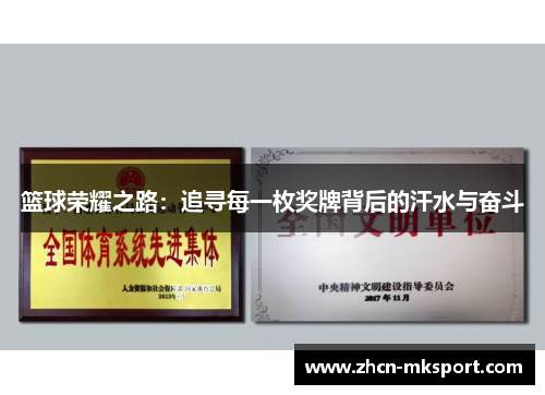 篮球荣耀之路：追寻每一枚奖牌背后的汗水与奋斗