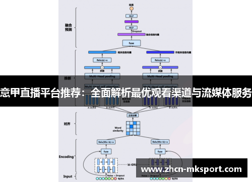 意甲直播平台推荐：全面解析最优观看渠道与流媒体服务