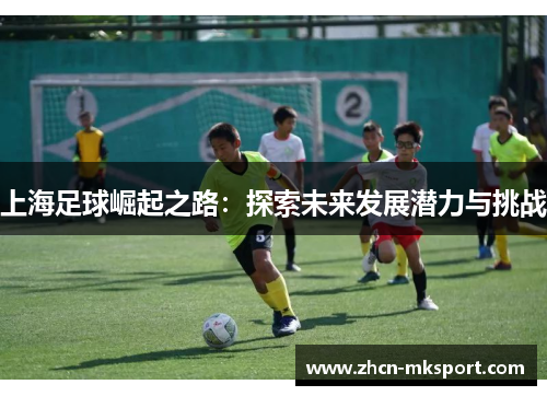 上海足球崛起之路：探索未来发展潜力与挑战