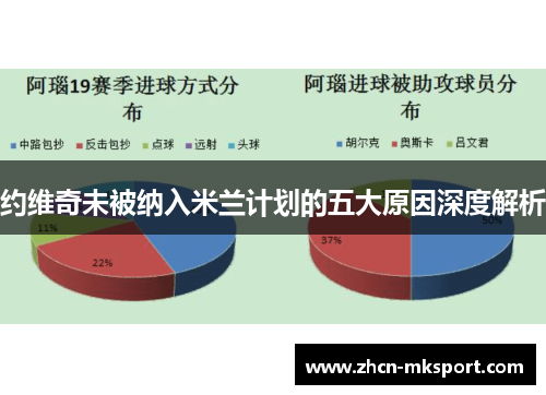 约维奇未被纳入米兰计划的五大原因深度解析