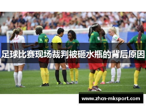 足球比赛现场裁判被砸水瓶的背后原因