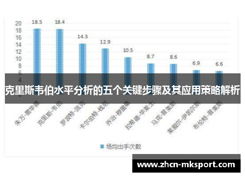 克里斯韦伯水平分析的五个关键步骤及其应用策略解析